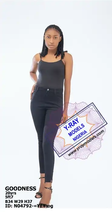 Y-Ray Models
