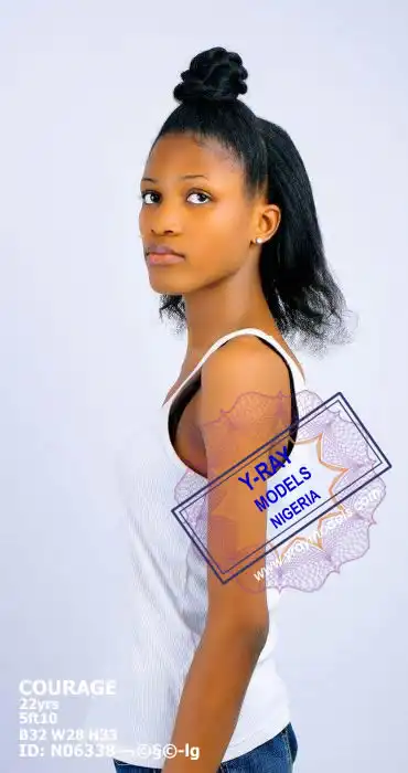 Y-Ray Models